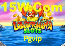 Premium Interface Pgvip